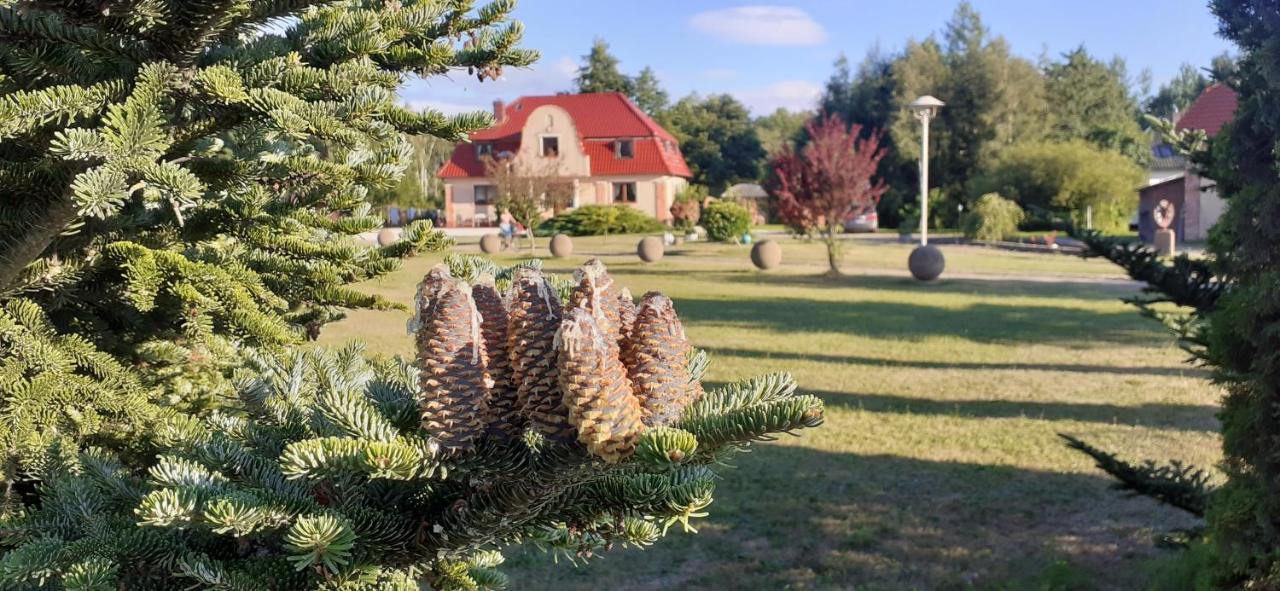 Sielanka - Domki I Pokoje Pod Leba Zarnowska Экстерьер фото