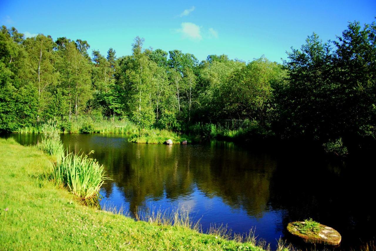 Sielanka - Domki I Pokoje Pod Leba Zarnowska Экстерьер фото